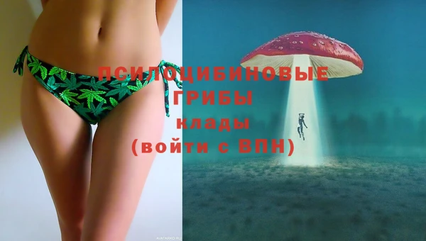 гидропоника Заволжье