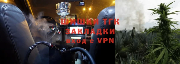 мдпв Заводоуковск