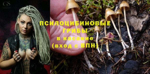 мдпв Заводоуковск