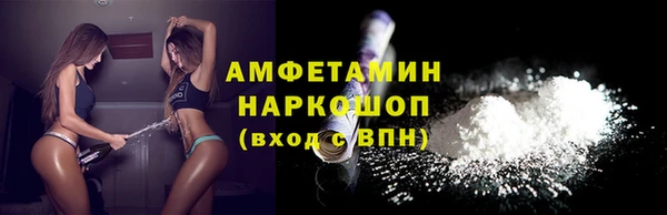 мдпв Заводоуковск