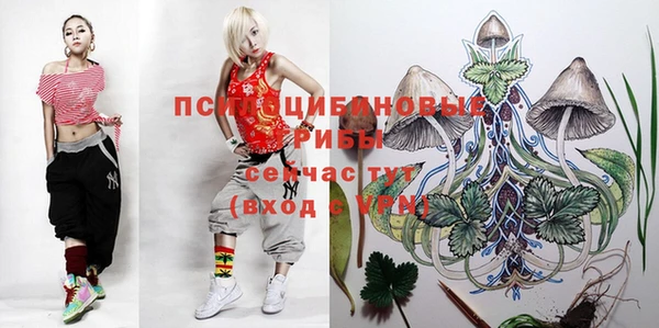 мдпв Заводоуковск