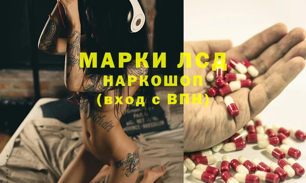 мдпв Заводоуковск